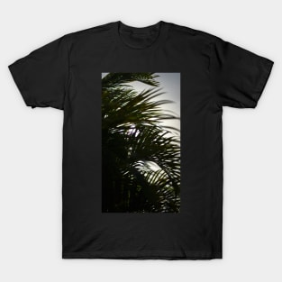 Palm Leaf T-Shirt